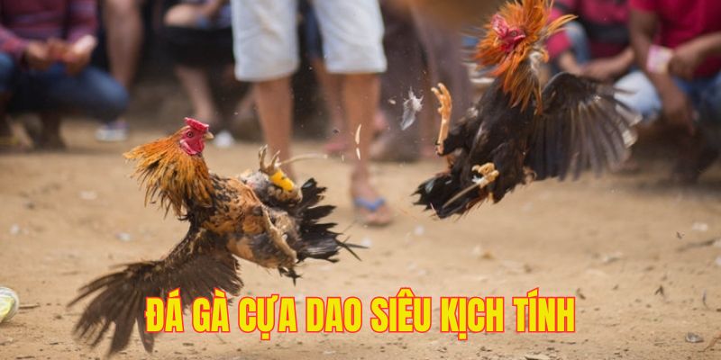 Sự kịch tính trong từng giây khiến hội viên bị cuốn hút
